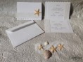 Partecipazione tema mare con stelle marine e/o conchiglia 